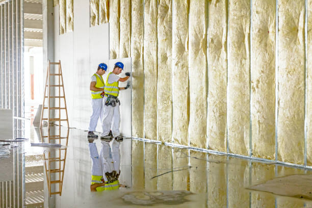 Best Residential Insulation in Altamont, KS